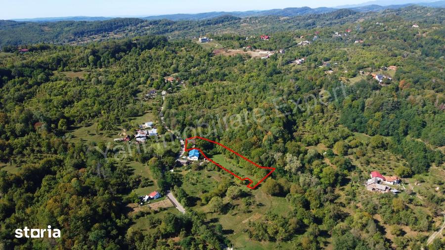 Casă cu 3 camere cu Teren 4391 Mp în Valea Danului