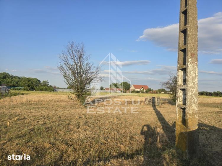 Teren de 800 mp, în Curtici