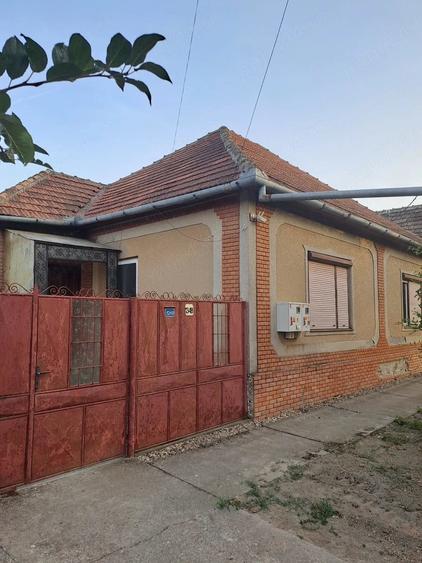 Casa de vanzare - loc. Cenad - 9