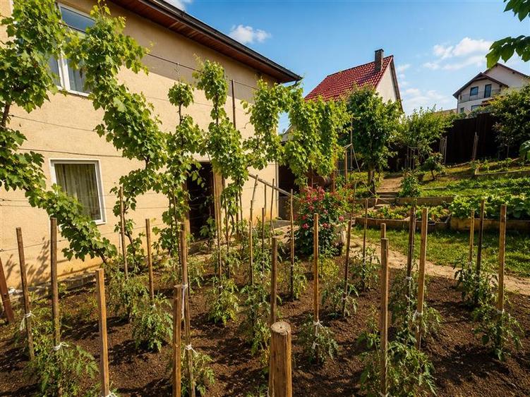 Duplex cu 4 camere cu Teren 262 Mp în Sângeorgiu de Mureș