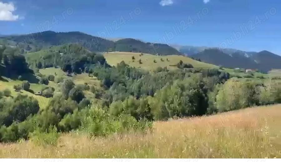 Teren de 46050 mp, în Șirnea