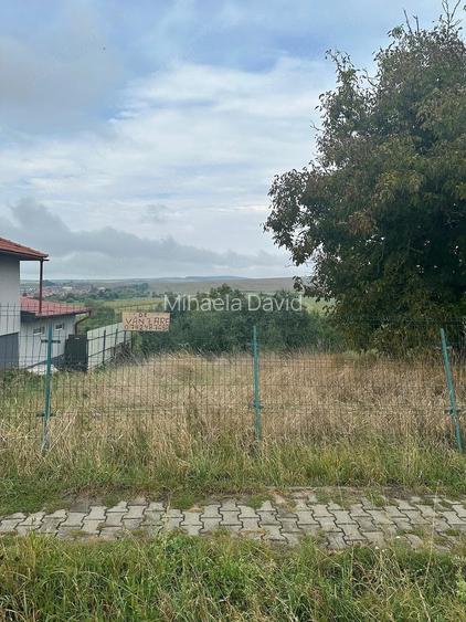 Teren intravilan Dedrad