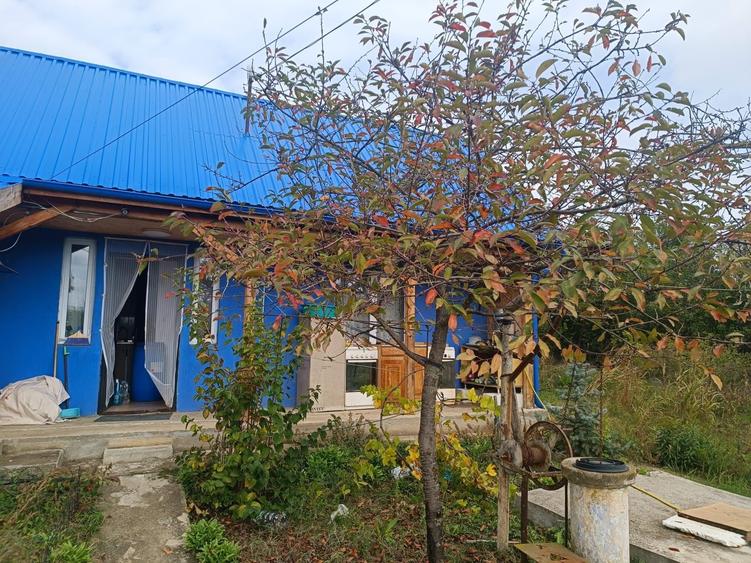 Casă cu 3 camere cu Teren 4500 Mp în Mirău