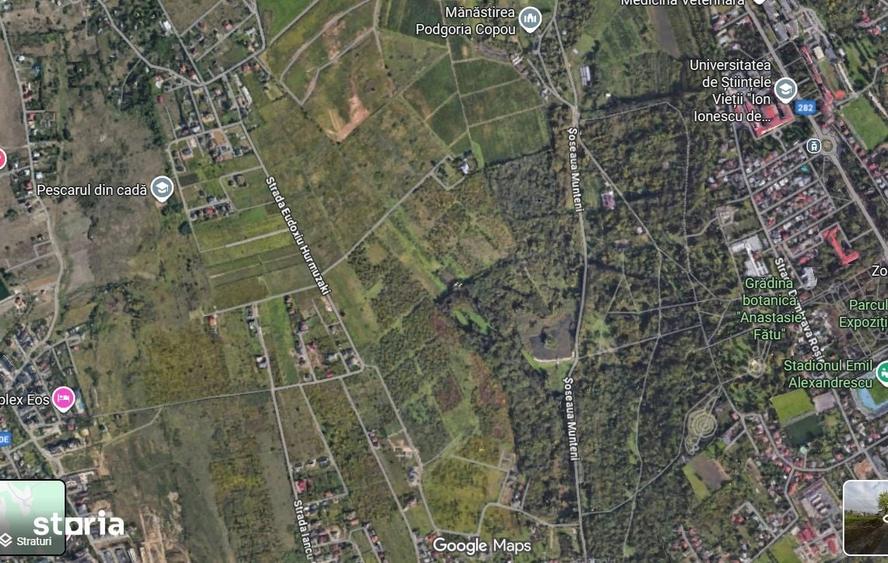Teren de 40000 mp, în Viticultori