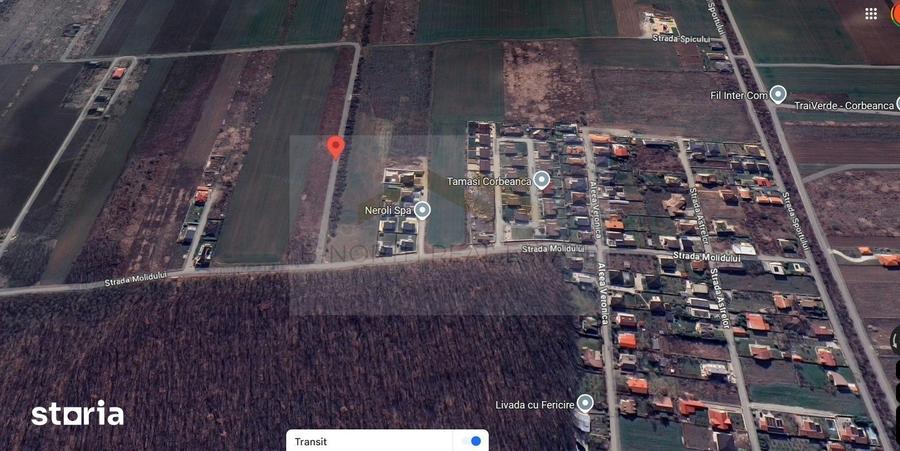 Teren 600 mp str Molidului langa padure - 1