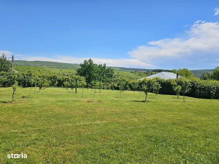 Vila Rustica 180 Mp Teren 3000 Mp Livada Helesteu Iasi Tudor Neculai - 2