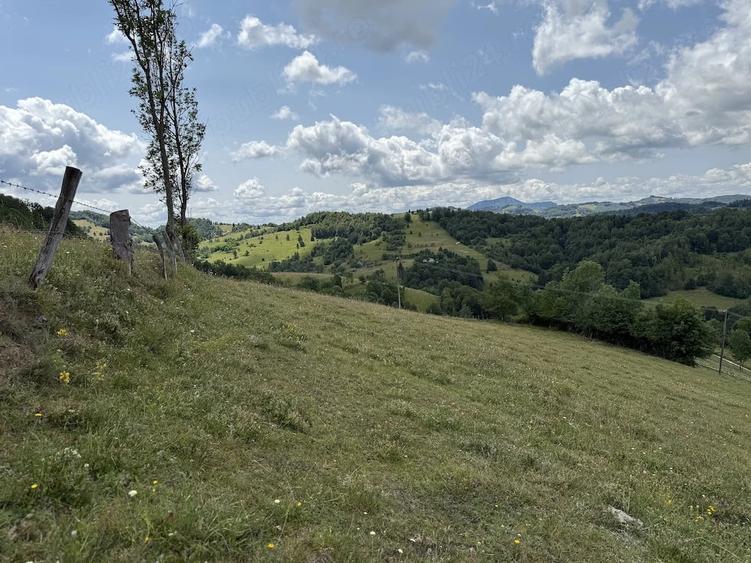 Teren de 5000 mp, în Năpăiești