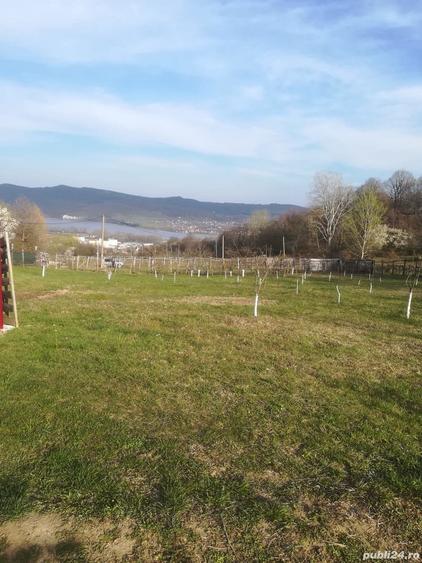 Terenuri de vanzare - 5