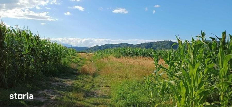 Teren de 1000 mp, în Copăcelu