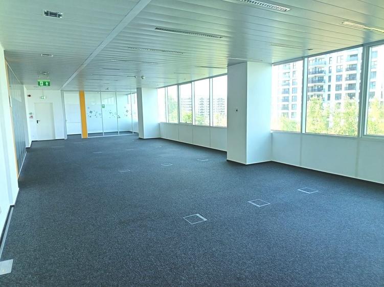 Birou, de 222.72999572754 mp, în Pipera