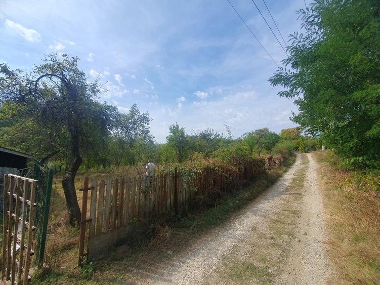 Teren Construcții intravilan de 4512 mp, în Sboghițești