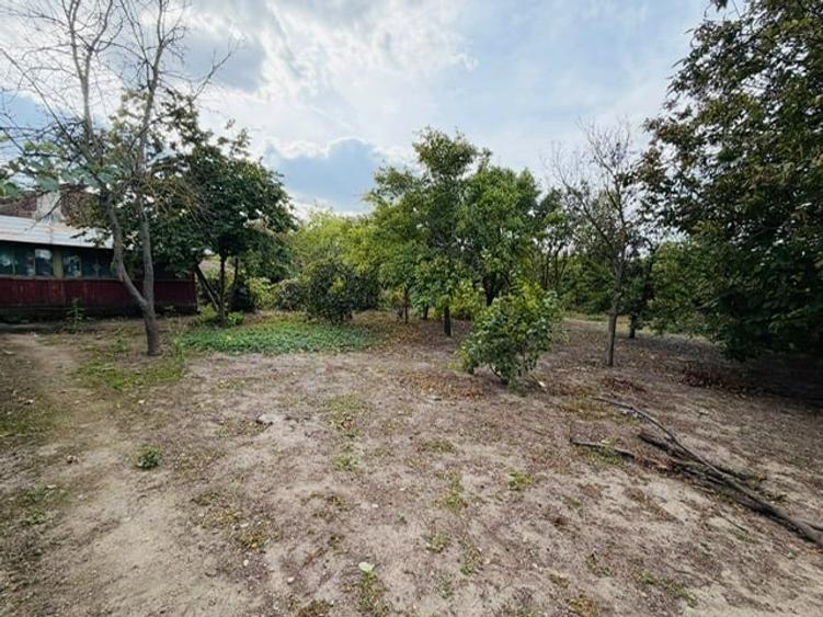 Casă individuală cu 3 camere cu Teren 2500 Mp în Sălcioara