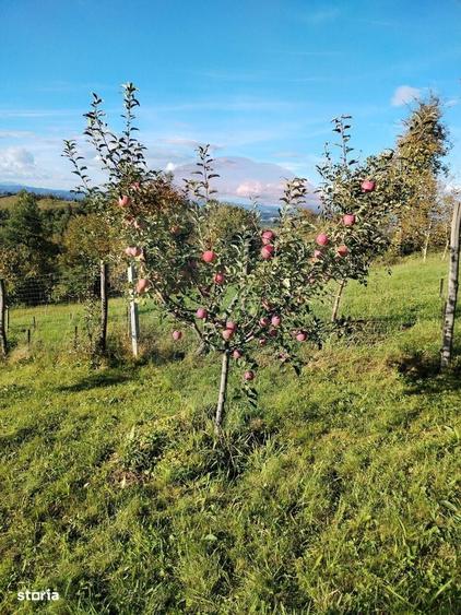 Casă cu 4 camere în Valea Hotarului
