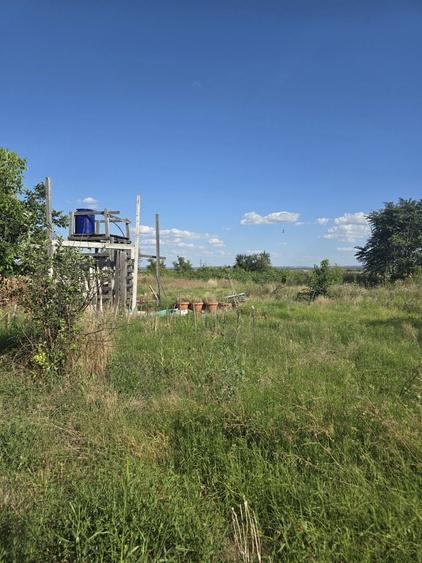 Casă cu 3 camere în Central