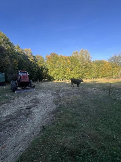 Teren de 5500 mp, în Tutana