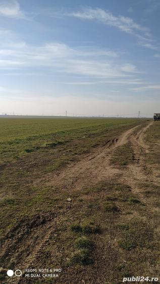 Teren de 9740 mp, în Bălăceanca