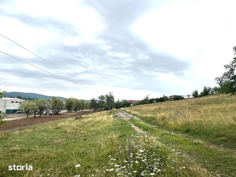Teren de 6000 mp, în Nord