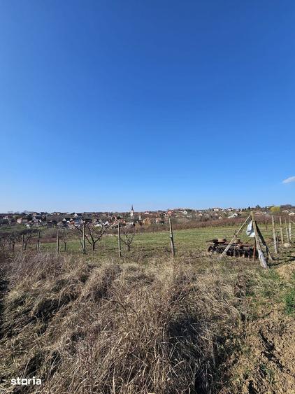 Teren intravilan Saldabagiu de Munte 850 mp - 2