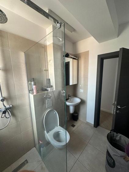 Inchiriere apartament ilfov stefnastii de jos - 8