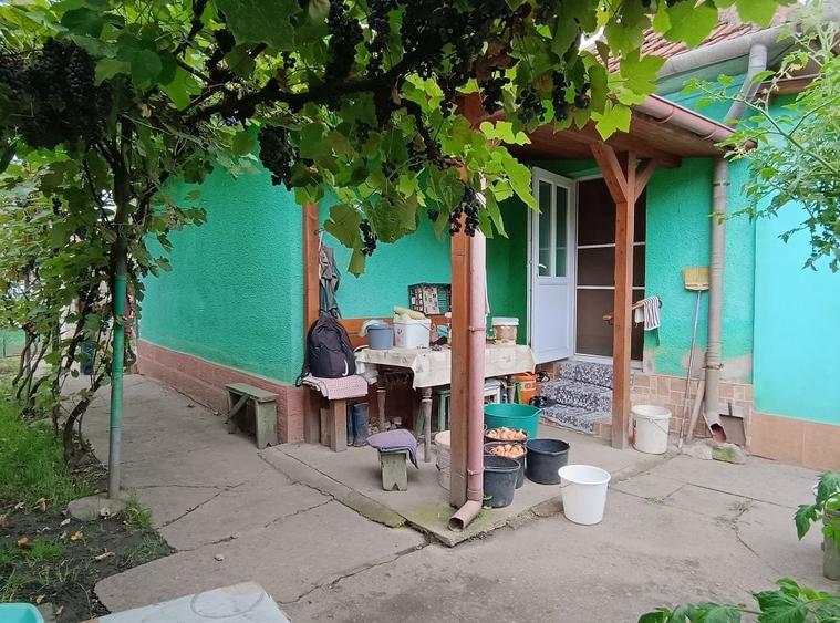 Casă cu 3 camere în Călanu Mic