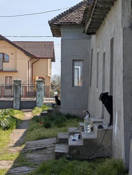 Casă cu 4 camere în Poiana Mare