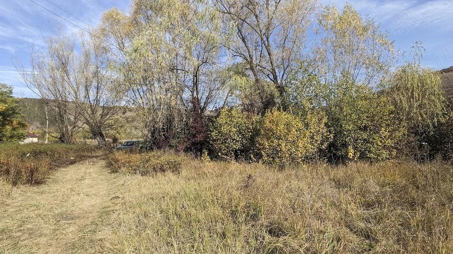 Teren de 8400 mp, în Mociu