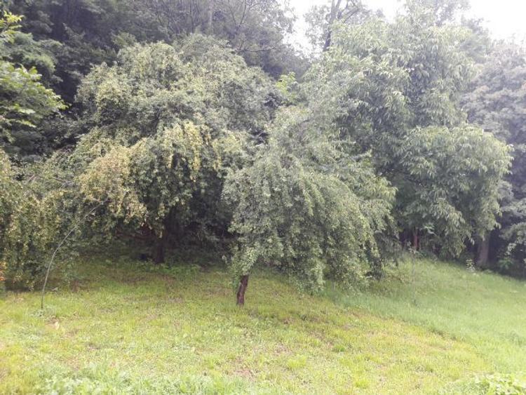 Casă cu 3 camere cu Canalizare în Baia de Aramă