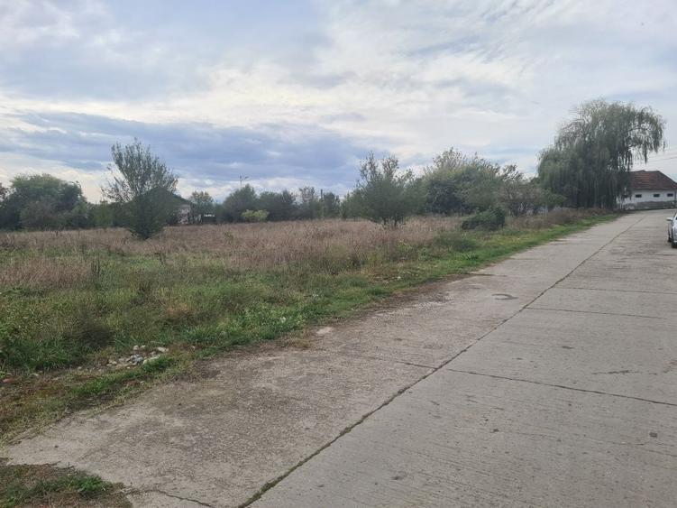 Spațiu comercial, în Băcia