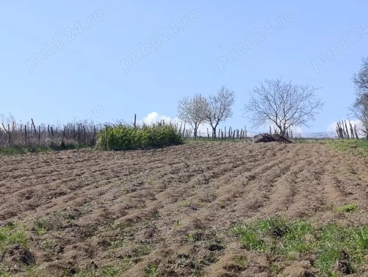 Casă cu Teren 10000 Mp în Ionășeni (Trușești)