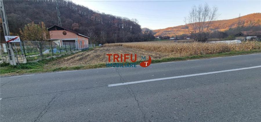 Teren Construcții intravilan de 1000 mp, în Ampoița