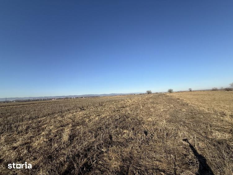 Teren de 2300 mp, în Central