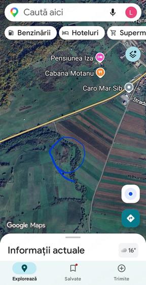 Teren de 10000 mp, în Bradu