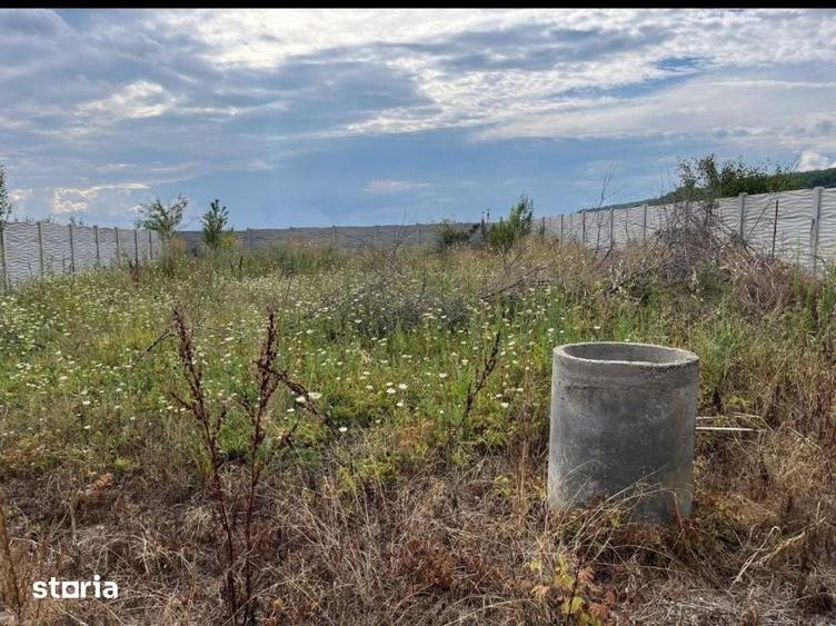 Teren intravilan imprejmuit 1000 mp, total 2550 mp, zona Arginesti - 4