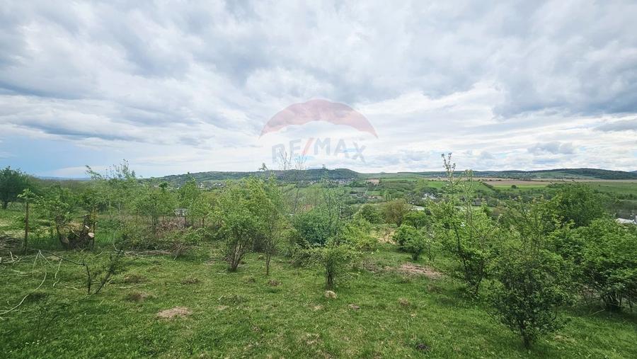 Teren Construcții intravilan de 5350 mp, în Dobreni