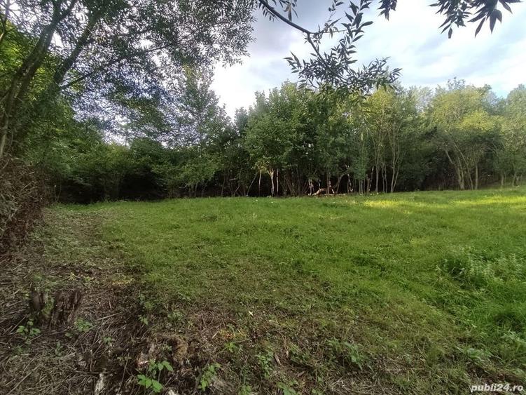 Teren de 3600 mp, în Central