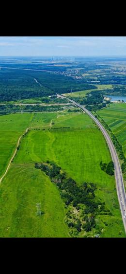 Teren agricol extravilan de 300000 mp, în Florești-Stoenești