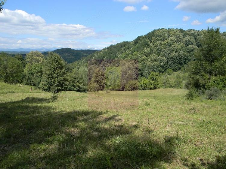 Teren de 3092 mp, în Telega