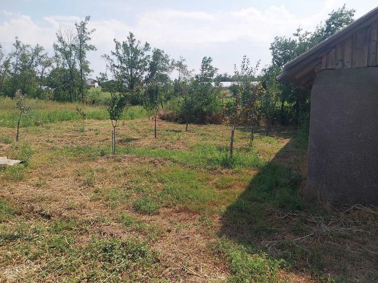 Casă cu 3 camere în Cudalbi