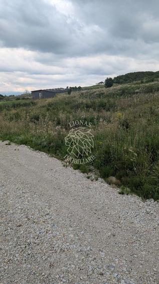 Teren Construcții extravilan de 1000 mp, în Est