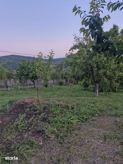 Teren de 740 mp, în Tomești