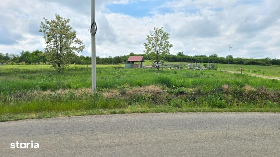 Teren intravilan Ardud Vii Satu Mare - 2