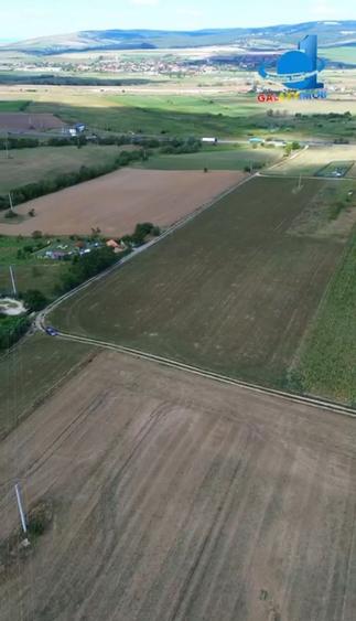 Teren intravilan de 1633 mp, în Feldioara