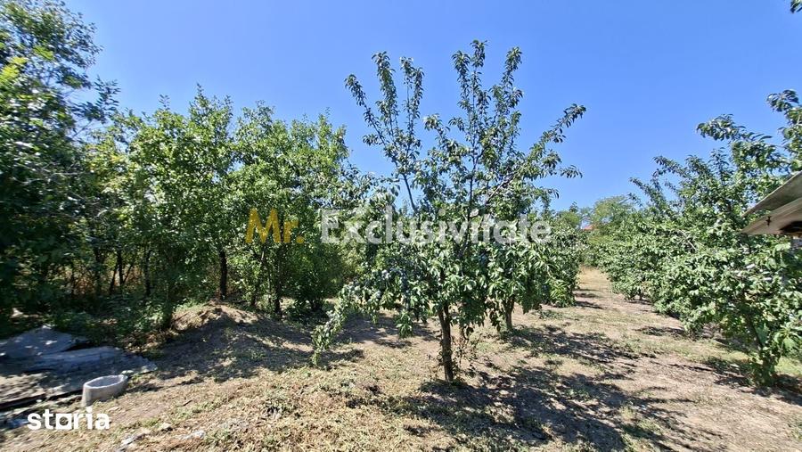 Casă cu 3 camere cu Teren 1667 Mp în Teiu