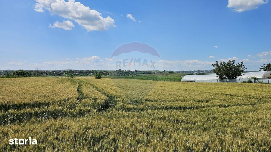 Teren de 15000 mp, în Central