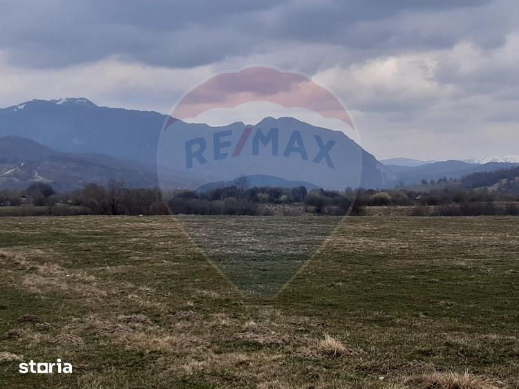 Teren 10,000mp Rasnov / Drumul Panicel - 1