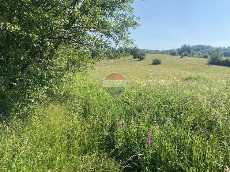Teren agricol extravilan de 4306 mp, în Vama Buzăului