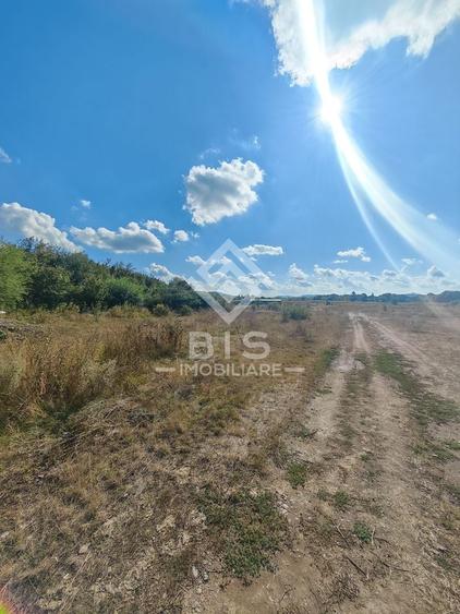 Teren agricol extravilan de 12600 mp, în Unirea