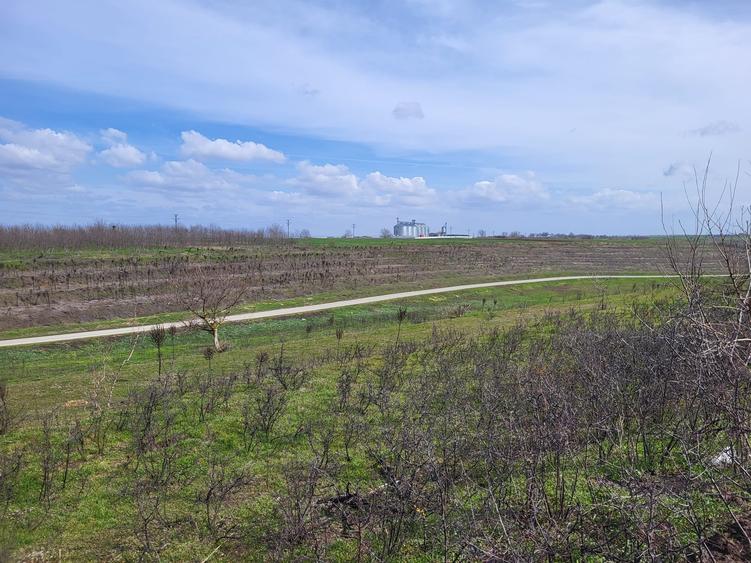 Teren agricol intravilan de 40000 mp, în Prundu