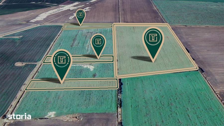 Teren agricol de 11,75 ha de vanzare, la 1,5 km de Turnu, jud. Arad - 1