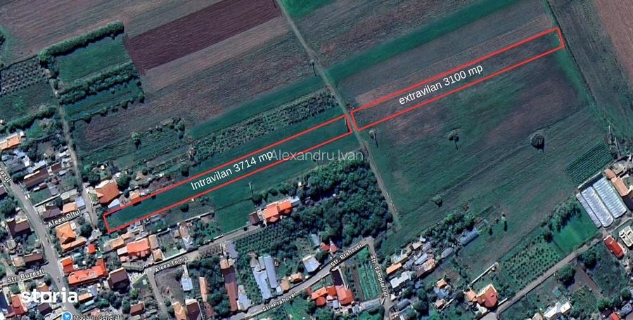 Teren intravilan + Extravilan - Tomsani (Magula) Prahova aproape de A3